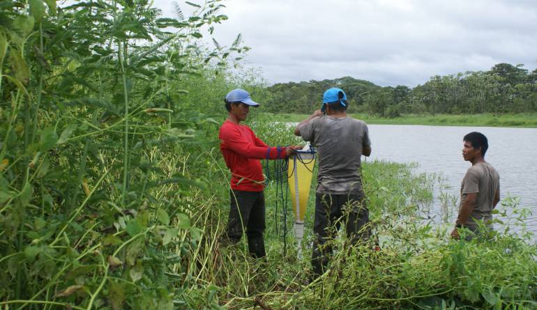 Amazonas humedales: Amenazados 21 humedales en el Amazonas