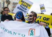 El fuerte debate en Europa sobre el uso de glifosato