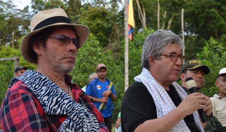 Sustitución decultivos ilicitos: Farc destaca compromiso para la sustitución de cultivos de coca