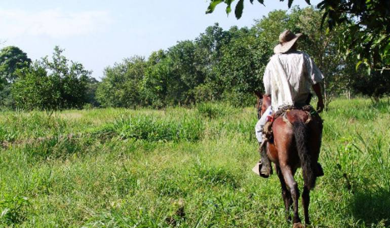 Catatumbo, Tumaco regalías corrupción: El dinero de las regalías que se perdió en Catatumbo, Tumaco y otras regiones