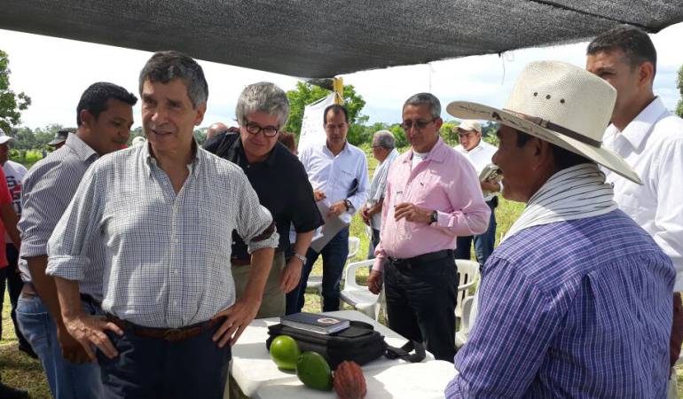 Anuncian que minucipio del meta estará libre de cultivos ilícitos al final de año: “La Uribe será el primer municipio del país libre de cultivos de coca”: Pardo