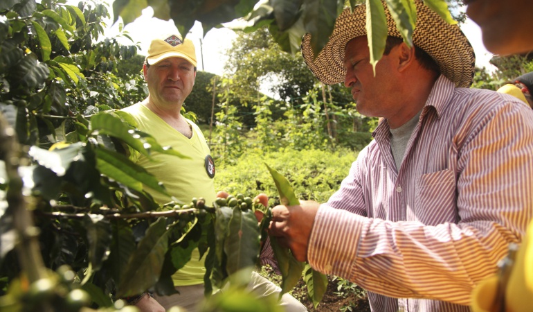 Invierno afectó la producción de café en el último trimestre del año