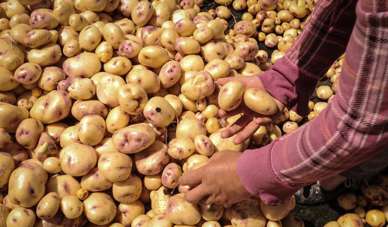 Alimentos en diciembre Ministerio de Agricultura: Acuerdo para congelar precios de alimentos en diciembre está casi listo
