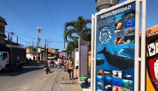 Lanzan campaña para proteger el ecosistema de la costa pacífica colombiana: Una nueva generación defenderá los océanos en Colombia Lanzan campaña para proteger el ecosistema de la costa pacífica colombiana: Una nueva generación defenderá los océanos en Colombia