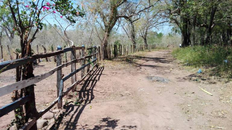 La Agencia Nacional de Tierras entregó 9 predios en zonas rurales del departamento del Meta