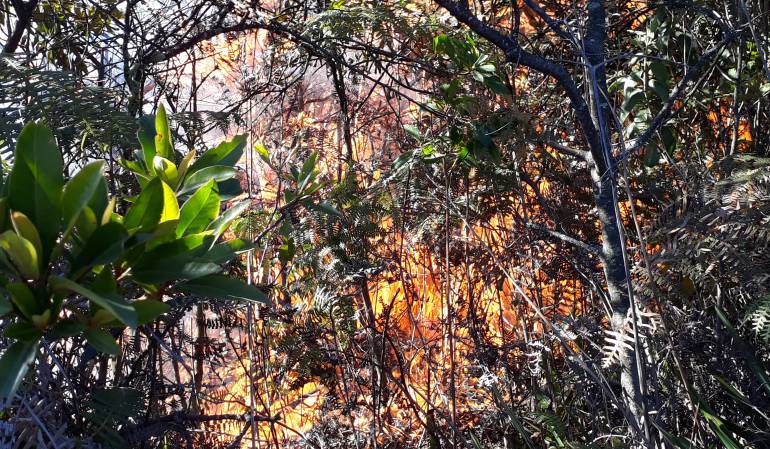Por cielo y tierra buscan controlar un incendio forestal en Cómbita, Boyacá: Por cielo y tierra buscan controlar un incendio forestal en Cómbita, Boyacá