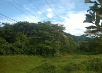Vuelan torre de energía en el departamento de Guaviare