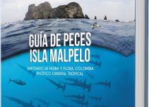 Sandra Bessudo e Yves Lefevre presentan el libro Guía de Peces Isla Malpelo