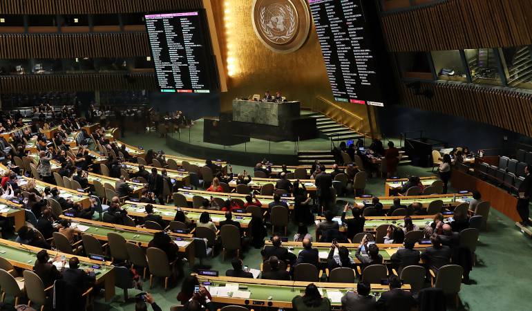 Asamblea General de la ONU