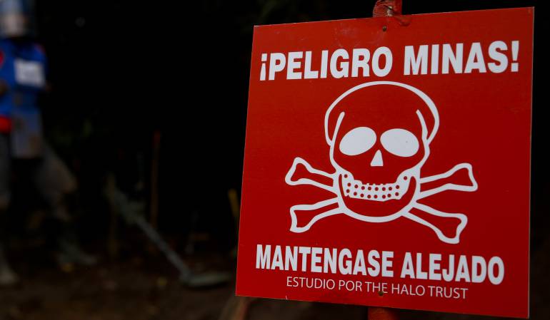 desminado apoyo de brasil: En 2021 Colombia estará sin minas antipersona: Mindefensa