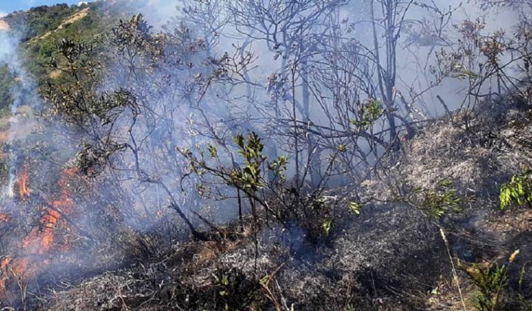 Incendio Forestal
