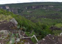 Gobierno entrega garantías a campesinos para sustitución de cultivos