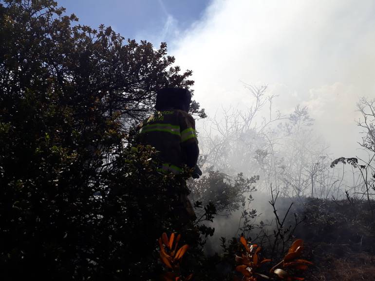 Incendios forestales Guaviare