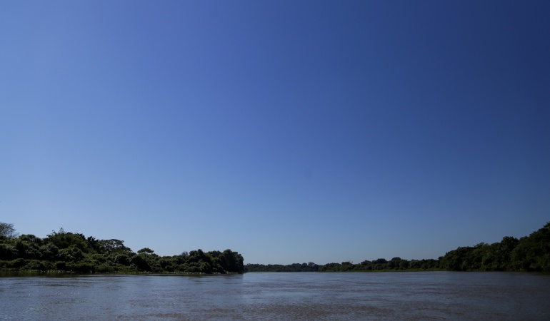 Día Mundial de la vida: Hoy se celebra el Día Mundial de la Vida Silvestre