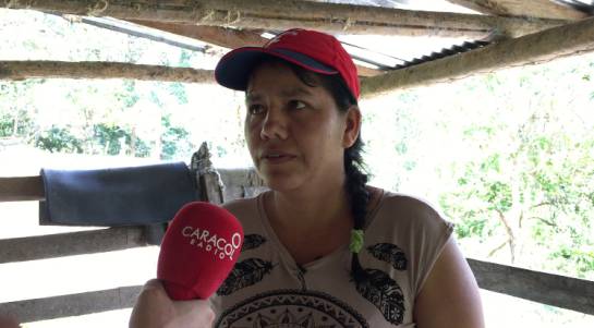 La ‘foca’ que nace en la Macarena y llegó al Valle La ‘foca’ que nace en la Macarena y llegó al Valle