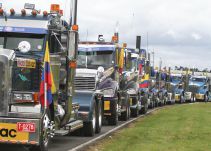 Sector carga respaldó la reactivación de reposición a vehículos pesados