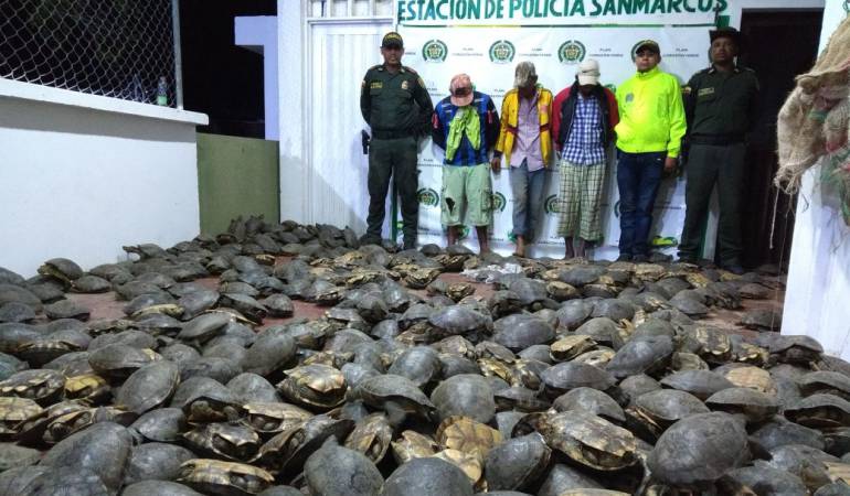 Fauna Colombiana: Capturan a tres supuestos traficantes de especies en vía de extinción