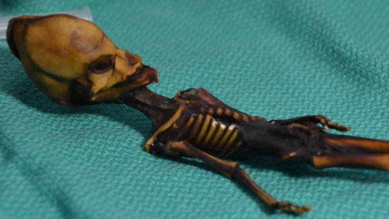 Vida extraterrestre: El ADN del falso alienígena de Atacama desvela sus secretos