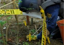 Gobierno logró desminar la tercera parte de municipios afectados por minas