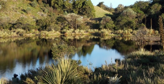 Plan de manejo del paramo en Boyacá: Aprobado el plan de manejo para el páramo de Rabanal Plan de manejo del paramo en Boyacá: Aprobado el plan de manejo para el páramo de Rabanal