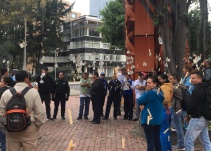 El día en el que apareció un árbol de billetes en Bogotá