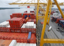 Exportaciones en febrero crecieron un 8,3%: Dane
