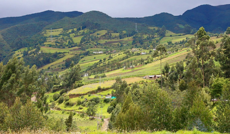 Medio Ambiente