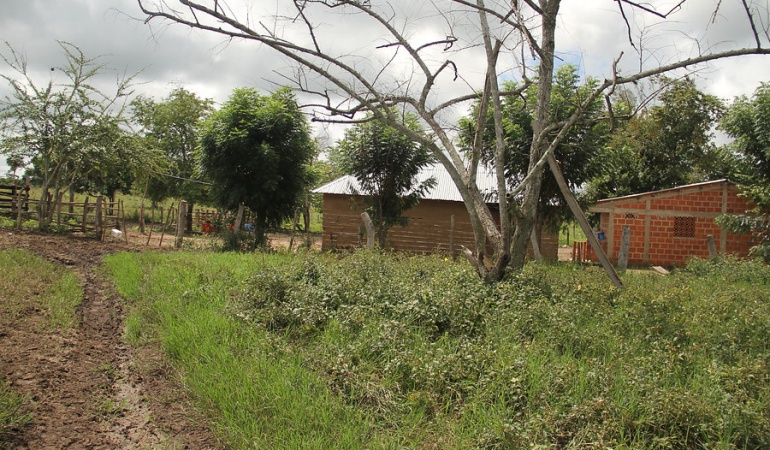 Reincorporación de tierras: Gobierno alista decreto que daría tierras a excombatientes de las Farc