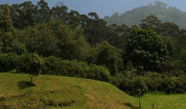 Rutas Clandestinas Venezolanas: Las 37 rutas clandestinas en la frontera venezolana