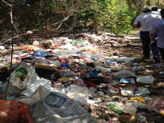 Playa Blanca en Barú: El turismo informal está acabando con Playa Blanca en Barú Playa Blanca en Barú: El turismo informal está acabando con Playa Blanca en Barú