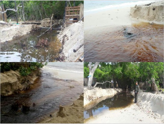 Playa Blanca en Barú: El turismo informal está acabando con Playa Blanca en Barú Playa Blanca en Barú: El turismo informal está acabando con Playa Blanca en Barú