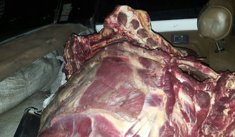 Carne
