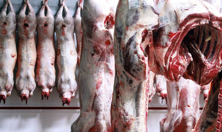 exportación de carnes colombianas: Millonaria inversión de Friogan en modernización de plantas en el país