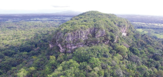 zona de protección arqueológica: La lindosa es declarada nueva área arqueológica de Colombia zona de protección arqueológica: La lindosa es declarada nueva área arqueológica de Colombia