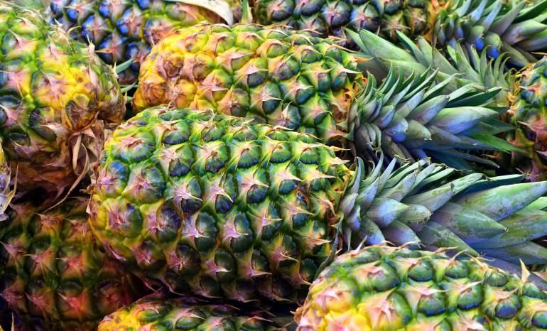 exportaciones colombianas: Colombia recibe autorización sanitaria para exportar piña a Argentina