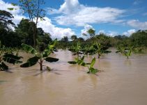 22 veredas inundadas en Puerto Concordia Meta