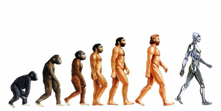 Análisis arroja luz sobre disparidad genética entre humanos y primates