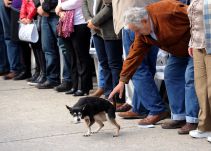 Fallece Manuela, la inseparable mascota de José Mujica