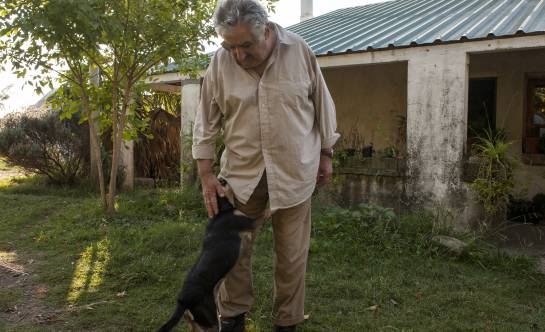 Murió Manuela, la perra de José Mujica y Lucía Topolansky