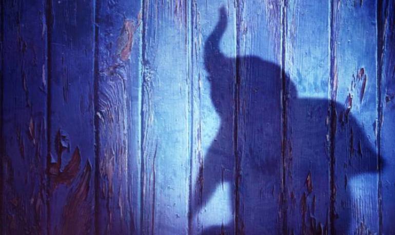 películas de Disney: Dumbo vuelve a volar, marzo de 2019 la fecha que iniciará su vuelo