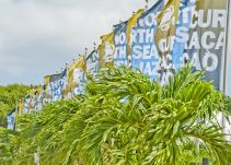Conozca la alineación estelar del Curaçao North Sea Jazz Festival 2018