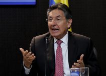 Por aumento de cultivos, Fiscal pide convocar consejo de estupefacientes