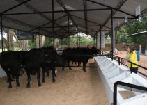 La Feria de la Ganadera abrió sus puertas al público