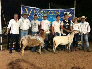 Campeones de las razas cebuinas Campeones de las razas cebuinas