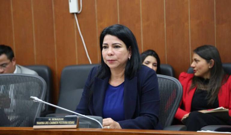 fraude electoral: Abren investigación contra senadora Yamina Pestana