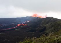 Descartan afectación a tortugas gigantes por erupción de volcán en Galápago