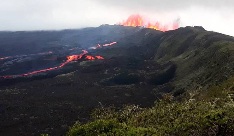 Erupción Volcánica: Descartan afectación a tortugas gigantes por erupción de volcán en Galápago