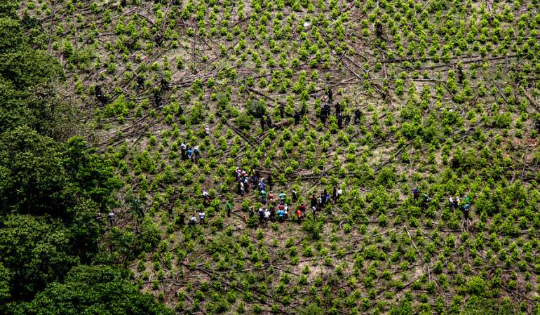 Retención de miltares en el Cauca: Pelotón militar retenido por campesinos en Argelia fue liberado