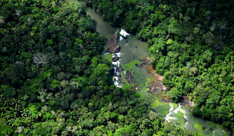 Desde Boyacá piden libertad de biólogo del MinAmbiente retenido en Caquetá: Desde Boyacá piden libertad de biólogo del MinAmbiente retenido en Caquetá Desde Boyacá piden libertad de biólogo del MinAmbiente retenido en Caquetá: Desde Boyacá piden libertad de biólogo del MinAmbiente retenido en Caquetá