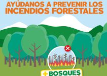 Autoridades del Magdalena previenen los incendios forestales